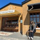 비자곶 | 제주도 가족여행 일정 2일차 런던베이글 브런치 제주 레일바이크 동문시장