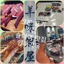 LAMB 산본점 | 산본 맛집 고기집 양미가옥 양갈비 숄더랙 후기