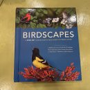 [알모책방팝업북] 새와 풍경이 큼지막~하게 튀어나오는 Birdscapes 이미지