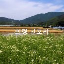의령 신포리 입석군 | 의령 가볼만한 곳-아무리 걸어도 지치지 않을 넉넉한 초록의 길-의령 신포리