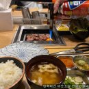 신씨화로 이미지