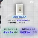 예소연 단편소설 추천｜그 개와 혁명부터 영원에 빚을 져서까지, 마음을 울리는 감성 4편 후기