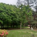 중앙승가대학교 대학원 이미지