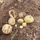 현정이네 농장 이미지