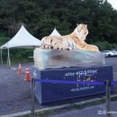 제33회 전국무용제 | 2024 서귀포문화유산 야행 제주신화, 영등할망의 초대 제주 신들의 연희가 펼쳐진 제주 축제 현장