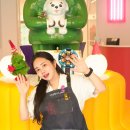 인천고양이분양 테디럽 이미지