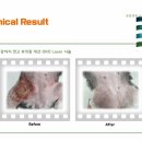 강남다온동물병원 이미지