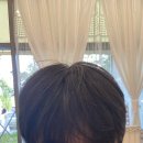 오늘와줄리 이미지