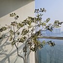 광안우드스테이 | [부산/광안리] 부산여행 광안리 숙소 / 광안리 해수욕장 10초컷 / 효이스테이 더광안 숙박 후기