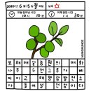 매화 태양광발전소 이미지