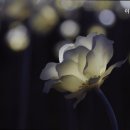 이음헬스케어 이미지