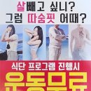 더따숨더점핑