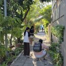 GUEST | 몰디브 공항 말레 가성비 숙소 추천 0.5박 최적화 Reef Guest House 솔직 후기