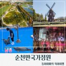 하얀꽃어린이공원 | 순천]순천만국가정원 /순천여행필수코스/아이랑 다녀온 후기/어린이동물원/세계정원/봄꽃/튤립/철쭉/유채꽃