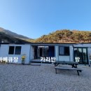 장미와 김목수 이미지