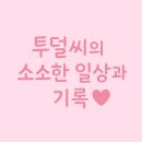 캔들트리 - 중구 동호로37길 20 | 스타벅스 홀케이크 예약오픈! 베어리스타 트리 캔들 증정 + 카스테라 롤케이크 후기