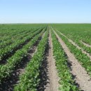 인수농장 이미지