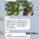 후크엔터 권진영 대표님 직원들에게 수상한 약 심부름 뇌경색 인한 마비 이미지