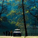 화이트빌 이미지