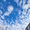 청아축산물직판장 식당 이미지