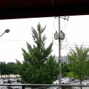 월광컴퓨터 이미지