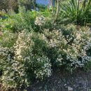 가서농장2 이미지