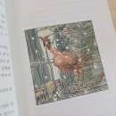 사계절양계장 티스토리