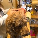 서초대로 124 이미지