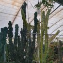 석주농장 이미지