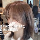 준오헤어 건대역1호점 중단발 볼륨매직 후기
