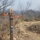 김대중대교(무안) 이미지