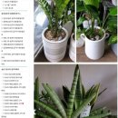 리첼할인마트 이미지