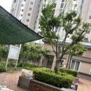 생각이크는작은도서관 이미지