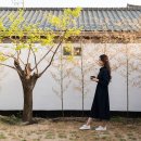 양지건축사사무소 이미지