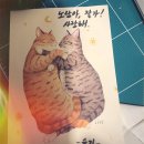 서신동물병원 | [집사일기] 급성 신부전 고양이ㅣ안락사 비용ㅣ경주에서 가까운 반려동물 장례 후기