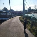 원천농장 | 40대 귀촌일기 무농약 사과대추나무 가지치기 후기 전동 가위 자연 퇴비 만들기