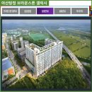 브라운 스톤 세탁 이미지