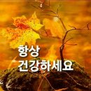 낙엽따라 가버린 사랑/ 손태진 부자 이미지