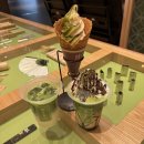 미스터스시강 | 후쿠오카 2박3일 여행 - 2,3일차