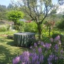 장원도배방 이미지