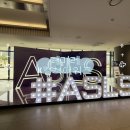 성형산업 | [K컬쳐어워즈] ASLS KOREA &amp; BEAUTYQUE 대미레 / 대한 미용성형 레이저 의학회 방문 후기