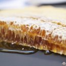 핸드픽트.서울 호텔 이미지