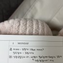 돌쇠방역소독 | 11월 월기