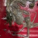 고운향기펜션 이미지