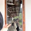 곡대서의펜션 이미지