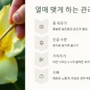 과일은나야 이미지