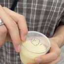 괄호 스테이 이미지