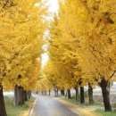 분토마을회관 이미지