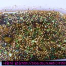 떡닭떡닭 이미지