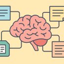 두뇌개발 학습법 (B) | 두 번째 두뇌(Second Brain) 구축 가이드 | 지식을 축적하고 연결하는 개인 정보관리 시스템